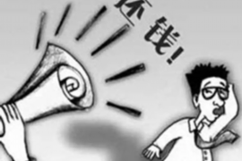 平果平果讨债公司服务